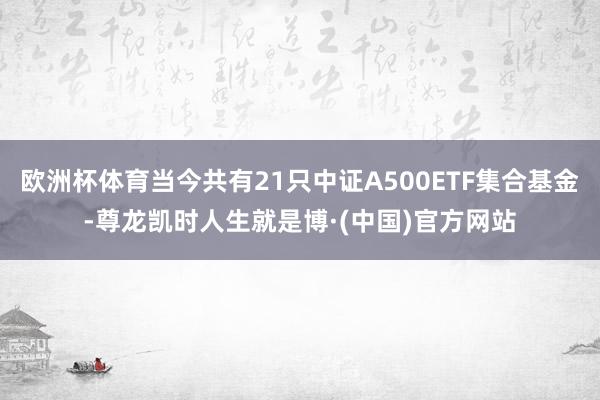 欧洲杯体育当今共有21只中证A500ETF集合基金-尊龙凯时人生就是博·(中国)官方网站