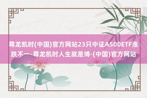 尊龙凯时(中国)官方网站23只中证A500ETF涨跌不一-尊龙凯时人生就是博·(中国)官方网站