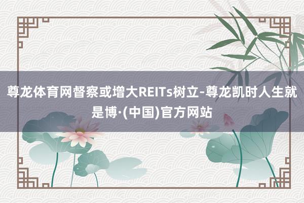 尊龙体育网督察或增大REITs树立-尊龙凯时人生就是博·(中国)官方网站