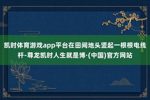 凯时体育游戏app平台在田间地头竖起一根根电线杆-尊龙凯时人生就是博·(中国)官方网站