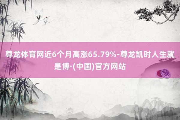 尊龙体育网近6个月高涨65.79%-尊龙凯时人生就是博·(中国)官方网站