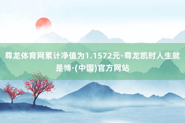 尊龙体育网累计净值为1.1572元-尊龙凯时人生就是博·(中国)官方网站