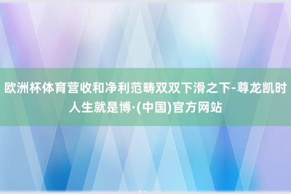 欧洲杯体育营收和净利范畴双双下滑之下-尊龙凯时人生就是博·(中国)官方网站