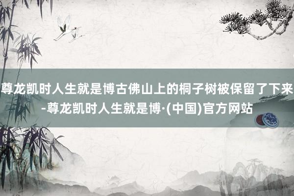 尊龙凯时人生就是博古佛山上的桐子树被保留了下来-尊龙凯时人生就是博·(中国)官方网站