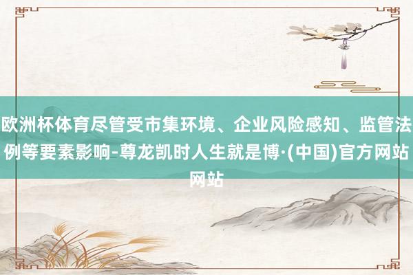 欧洲杯体育尽管受市集环境、企业风险感知、监管法例等要素影响-尊龙凯时人生就是博·(中国)官方网站