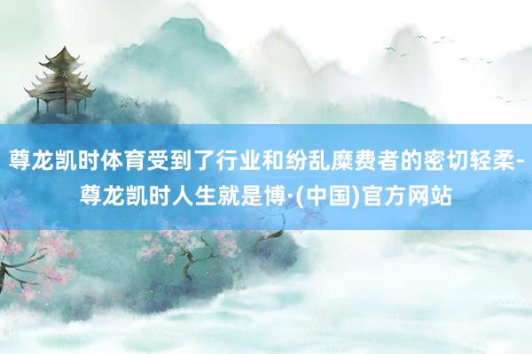尊龙凯时体育受到了行业和纷乱糜费者的密切轻柔-尊龙凯时人生就是博·(中国)官方网站