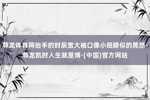 尊龙体育网抬手的时辰宽大袖口像小翅膀似的晃悠-尊龙凯时人生就是博·(中国)官方网站
