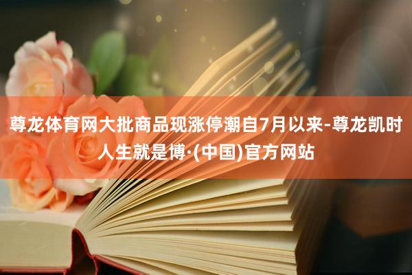 尊龙体育网大批商品现涨停潮自7月以来-尊龙凯时人生就是博·(中国)官方网站