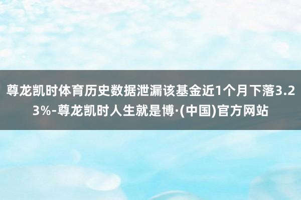 尊龙凯时体育历史数据泄漏该基金近1个月下落3.23%-尊龙凯时人生就是博·(中国)官方网站
