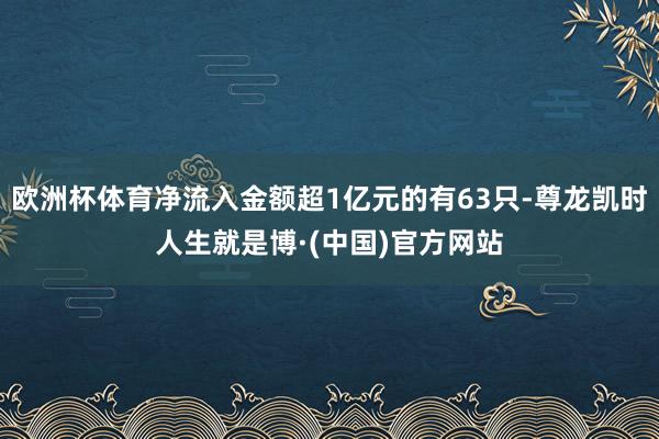 欧洲杯体育净流入金额超1亿元的有63只-尊龙凯时人生就是博·(中国)官方网站