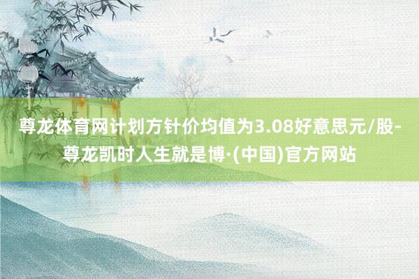 尊龙体育网计划方针价均值为3.08好意思元/股-尊龙凯时人生就是博·(中国)官方网站