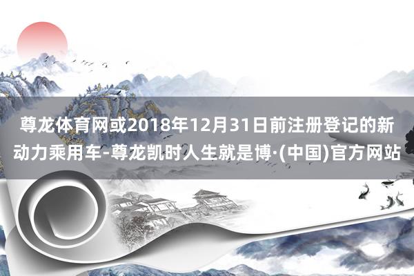尊龙体育网或2018年12月31日前注册登记的新动力乘用车-尊龙凯时人生就是博·(中国)官方网站