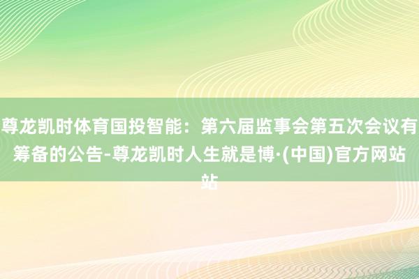 尊龙凯时体育国投智能：第六届监事会第五次会议有筹备的公告-尊龙凯时人生就是博·(中国)官方网站