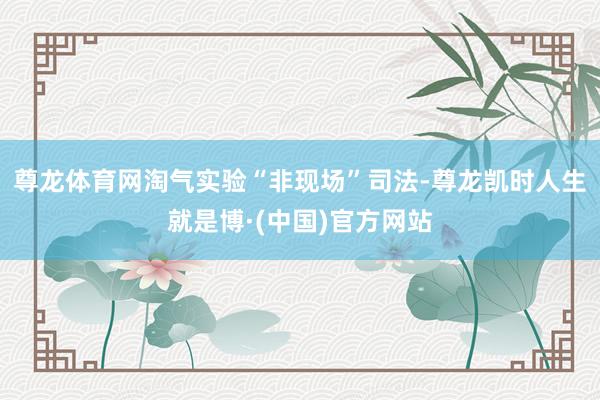 尊龙体育网淘气实验“非现场”司法-尊龙凯时人生就是博·(中国)官方网站